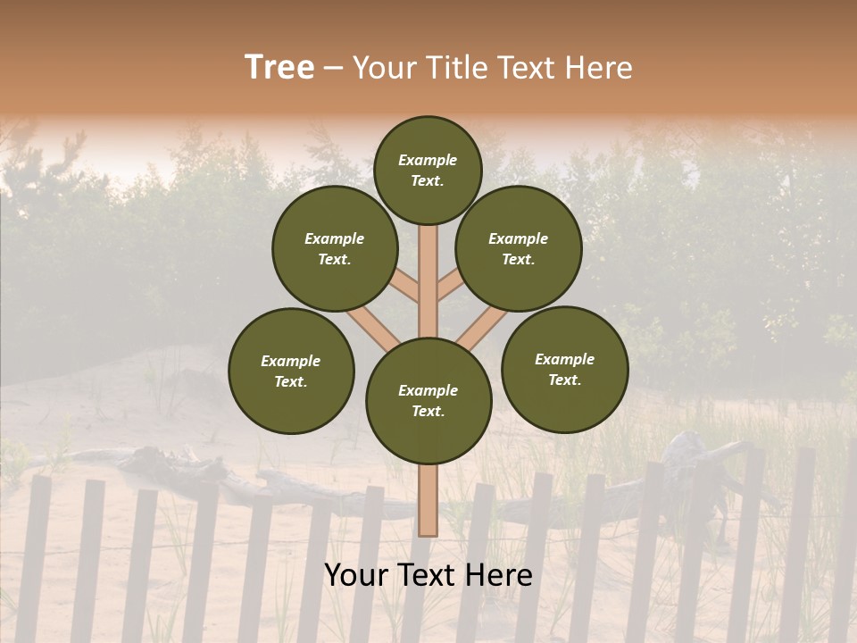 Lauderdale Tanning Beachwalk PowerPoint Template