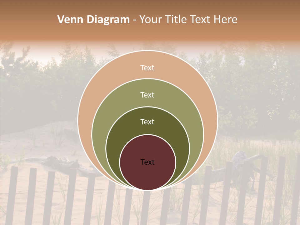 Lauderdale Tanning Beachwalk PowerPoint Template