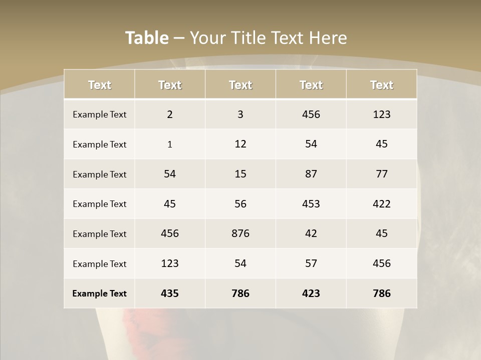 Girl Korea Chinese PowerPoint Template