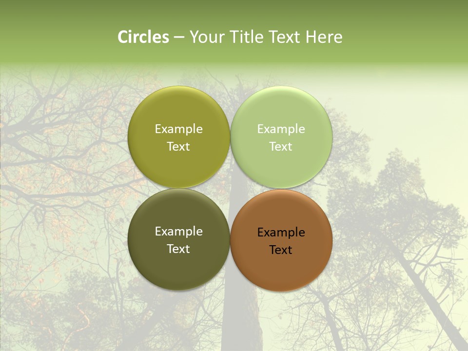 Forest Tree Landscape PowerPoint Template