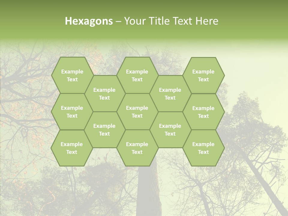 Forest Tree Landscape PowerPoint Template