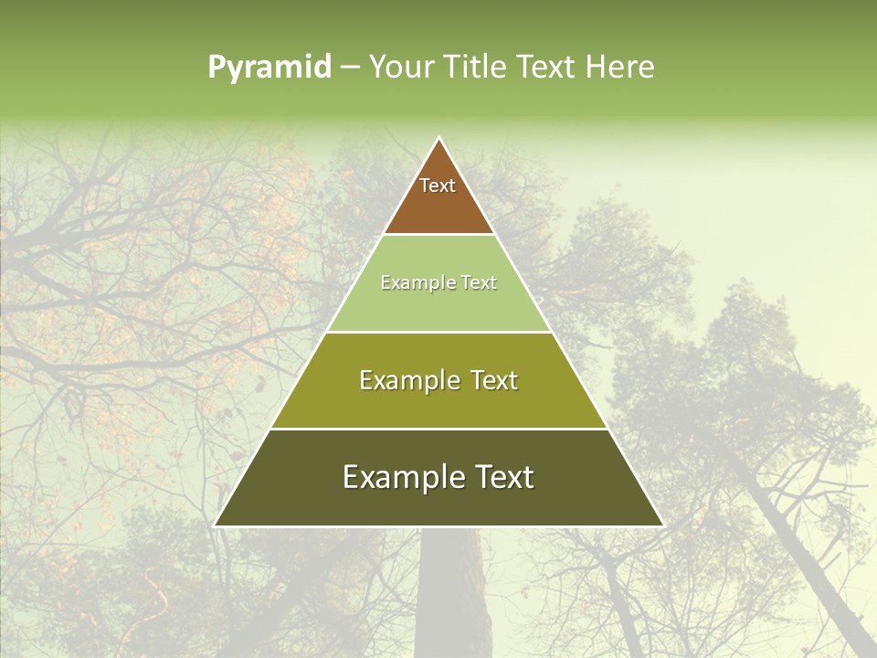 Forest Tree Landscape PowerPoint Template