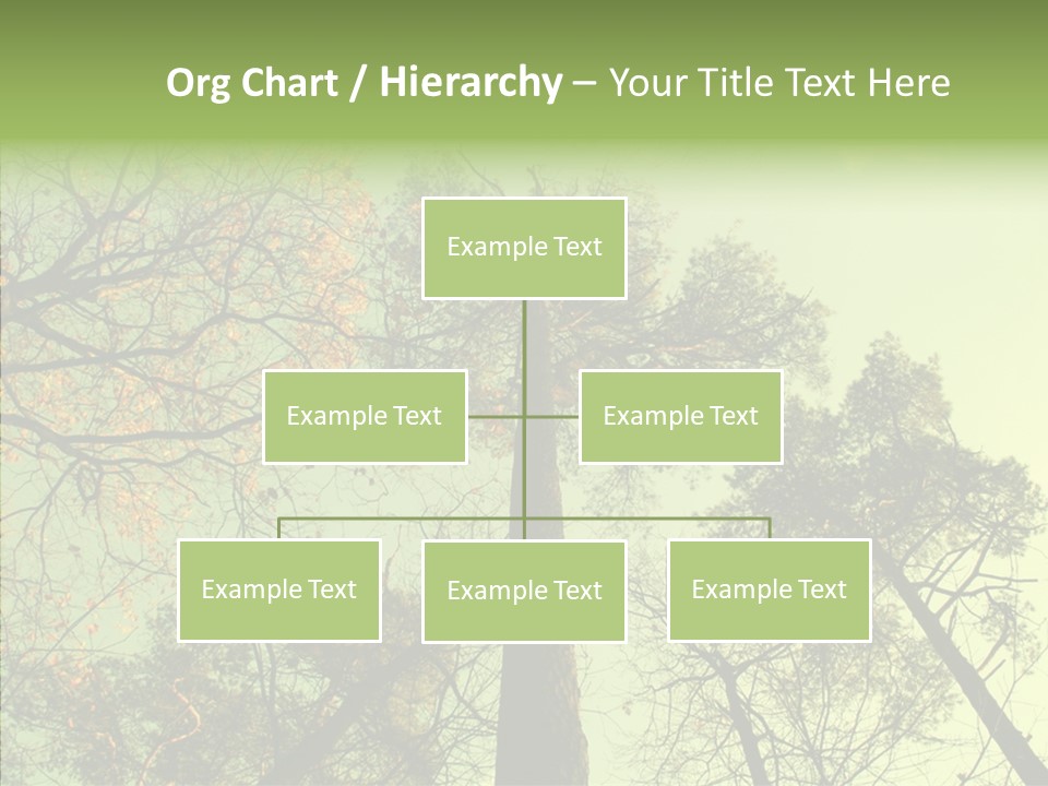 Forest Tree Landscape PowerPoint Template