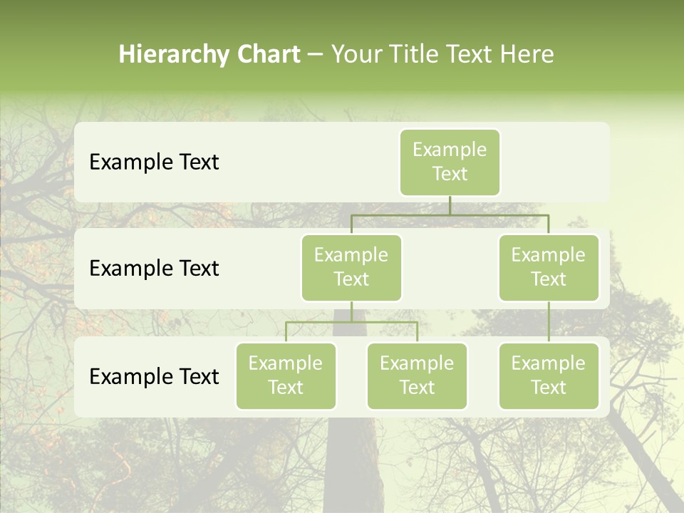 Forest Tree Landscape PowerPoint Template