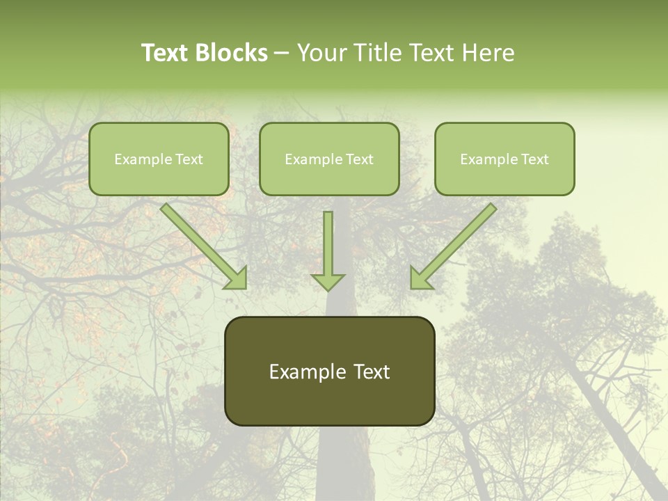 Forest Tree Landscape PowerPoint Template