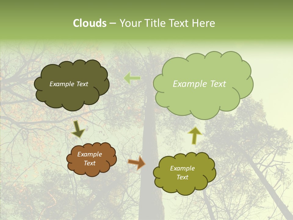Forest Tree Landscape PowerPoint Template