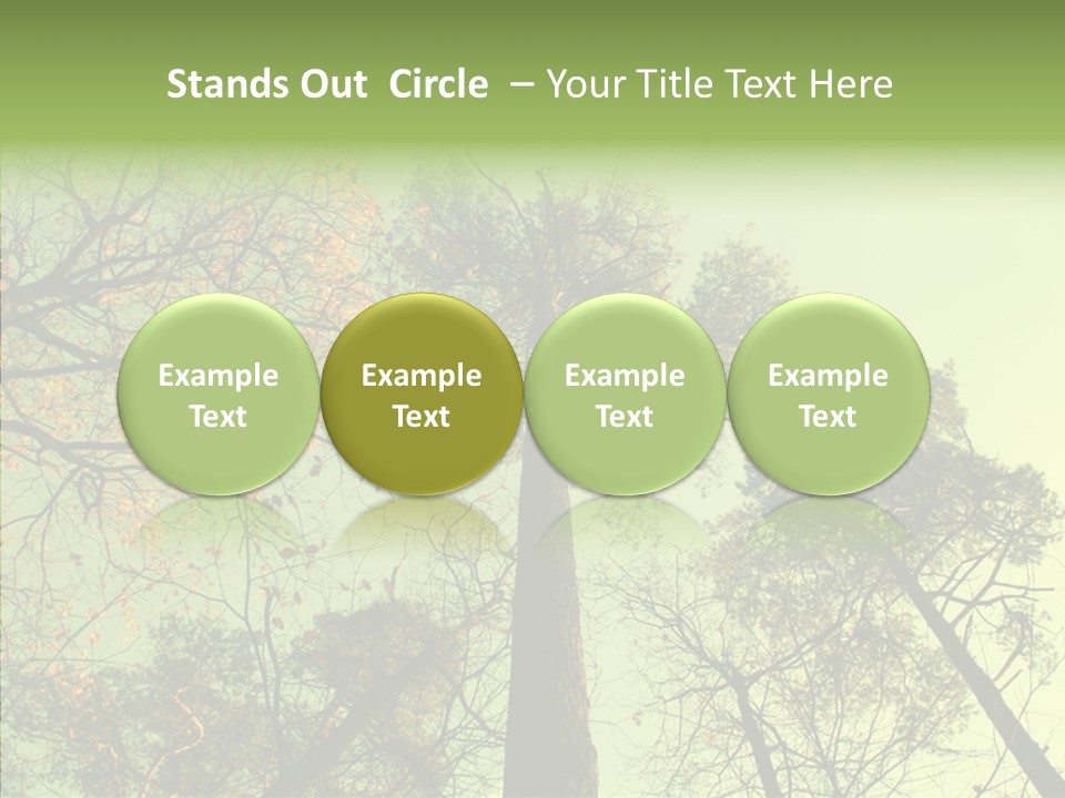 Forest Tree Landscape PowerPoint Template