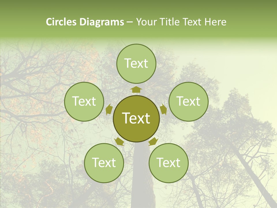Forest Tree Landscape PowerPoint Template