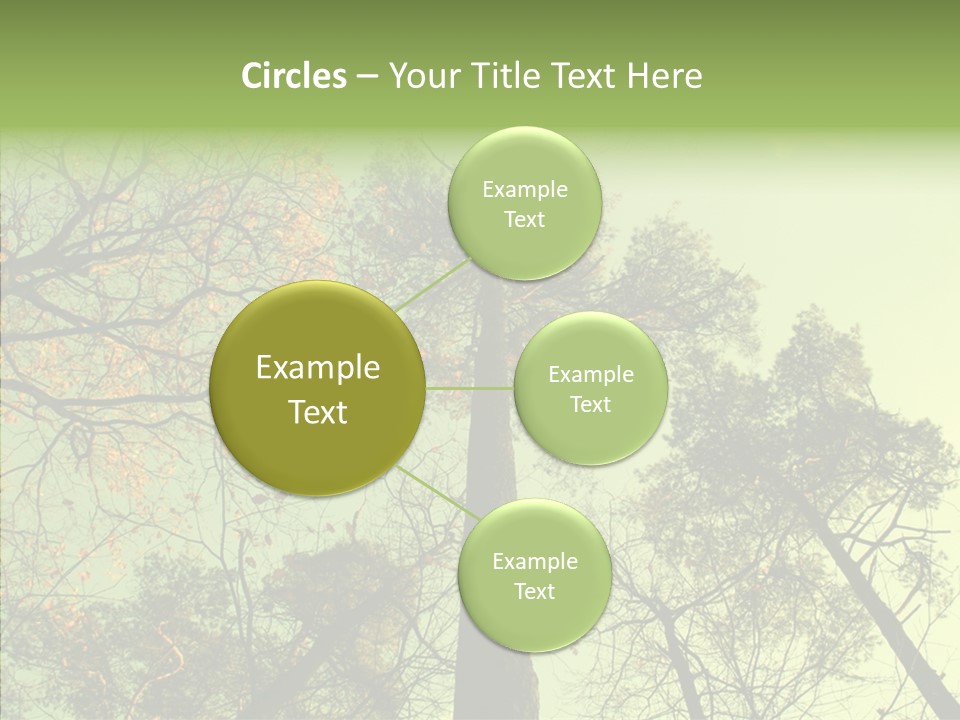 Forest Tree Landscape PowerPoint Template