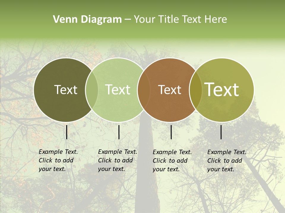 Forest Tree Landscape PowerPoint Template