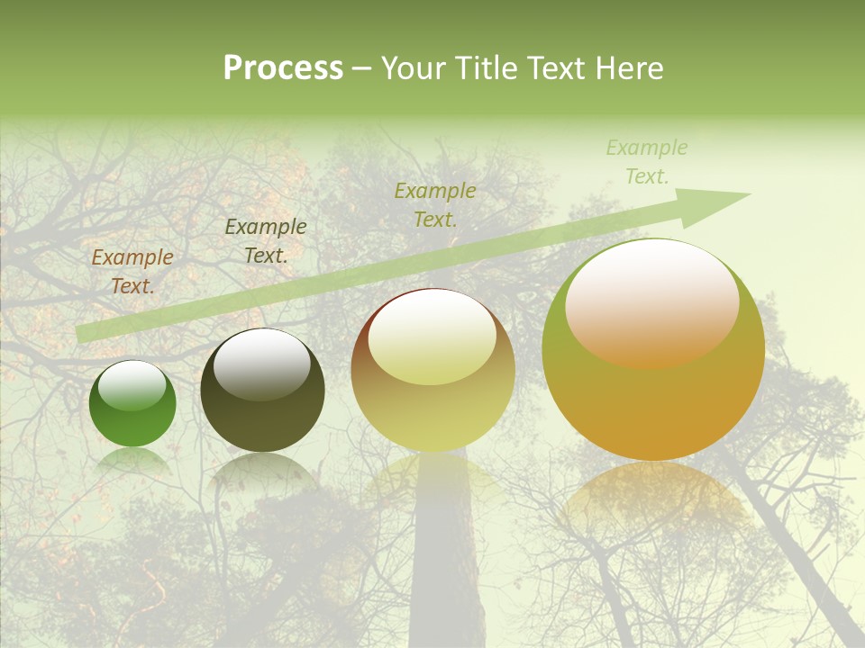 Forest Tree Landscape PowerPoint Template