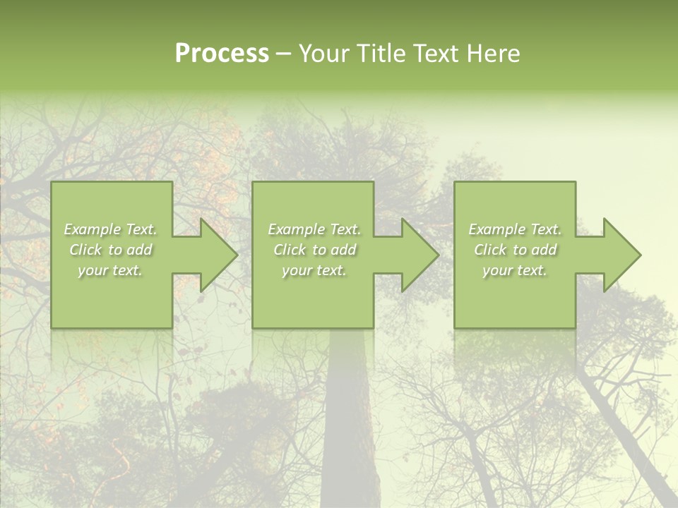 Forest Tree Landscape PowerPoint Template