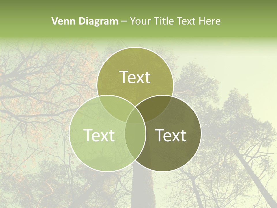 Forest Tree Landscape PowerPoint Template