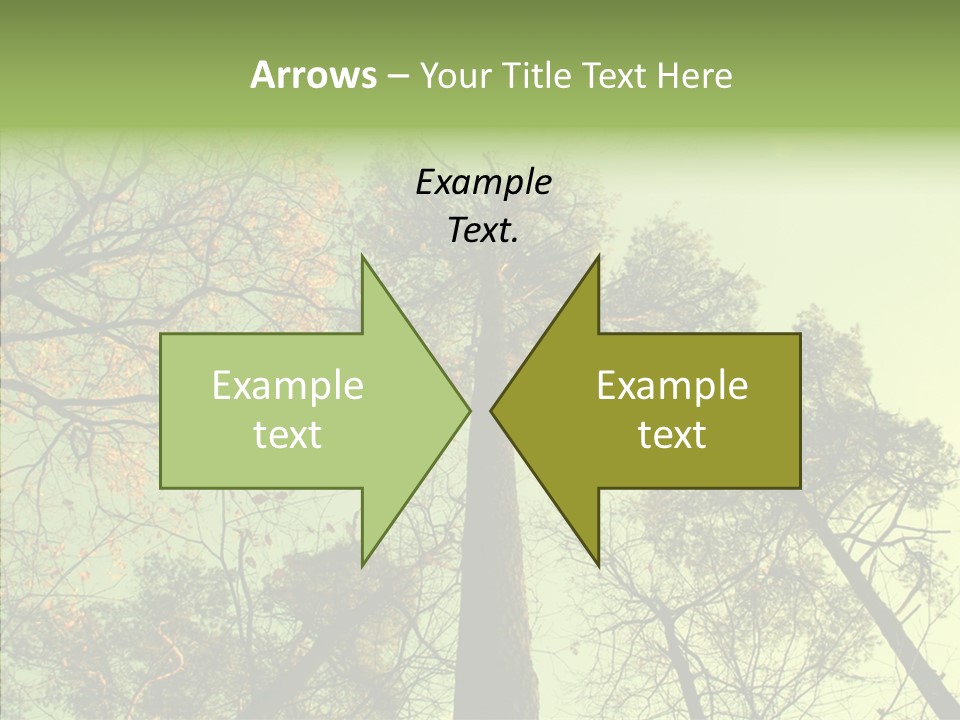 Forest Tree Landscape PowerPoint Template