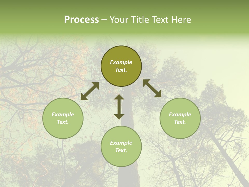 Forest Tree Landscape PowerPoint Template