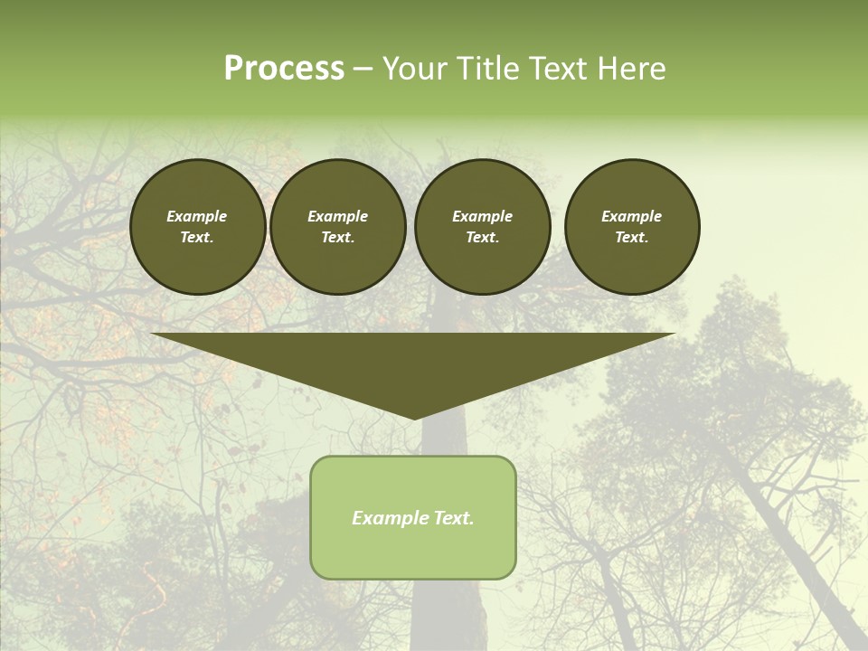 Forest Tree Landscape PowerPoint Template