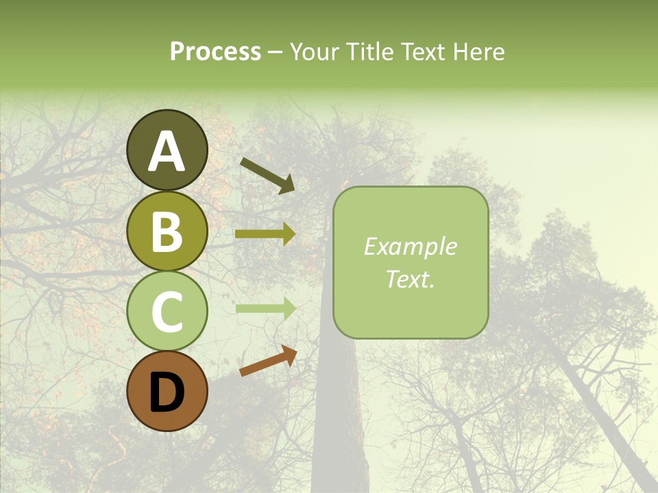Forest Tree Landscape PowerPoint Template