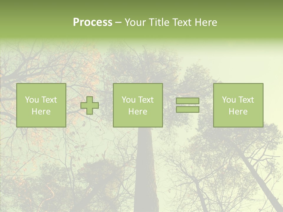Forest Tree Landscape PowerPoint Template