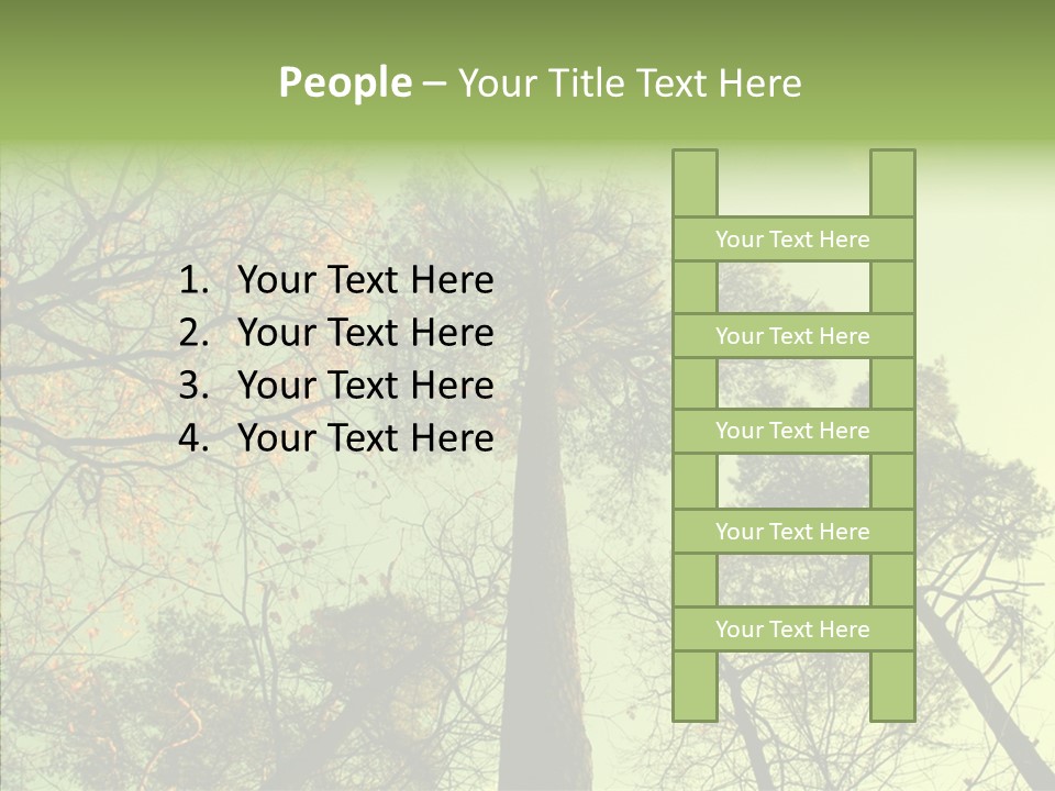 Forest Tree Landscape PowerPoint Template