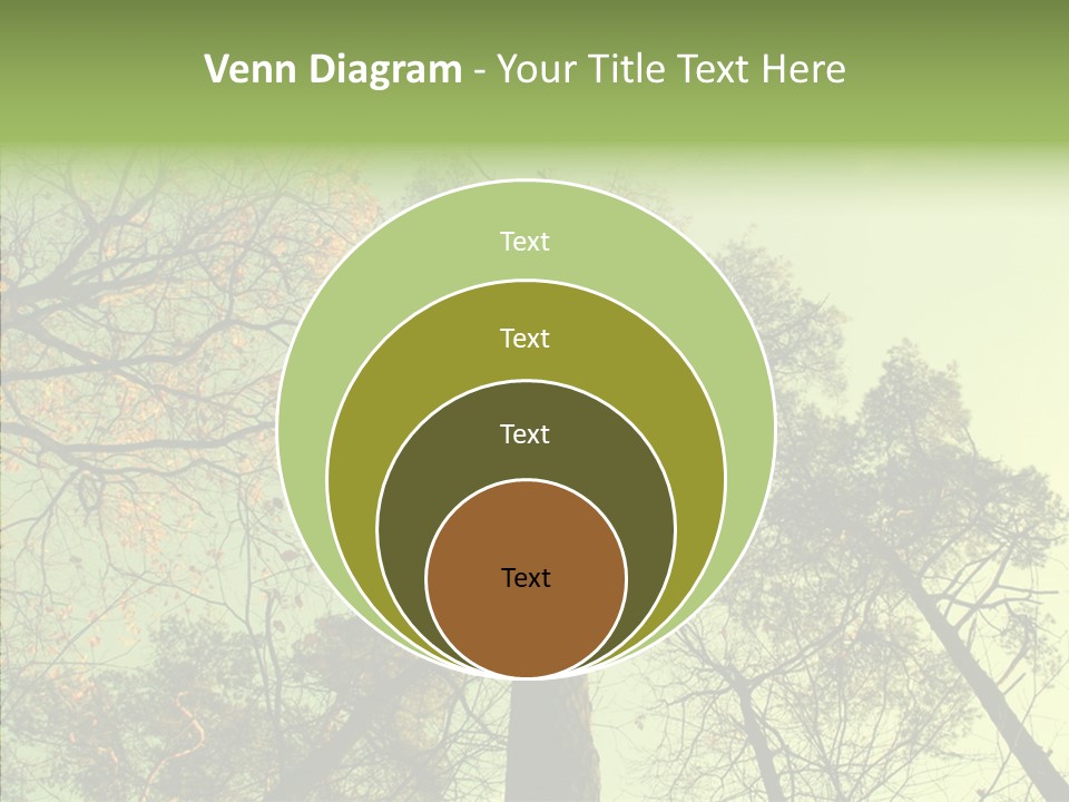 Forest Tree Landscape PowerPoint Template