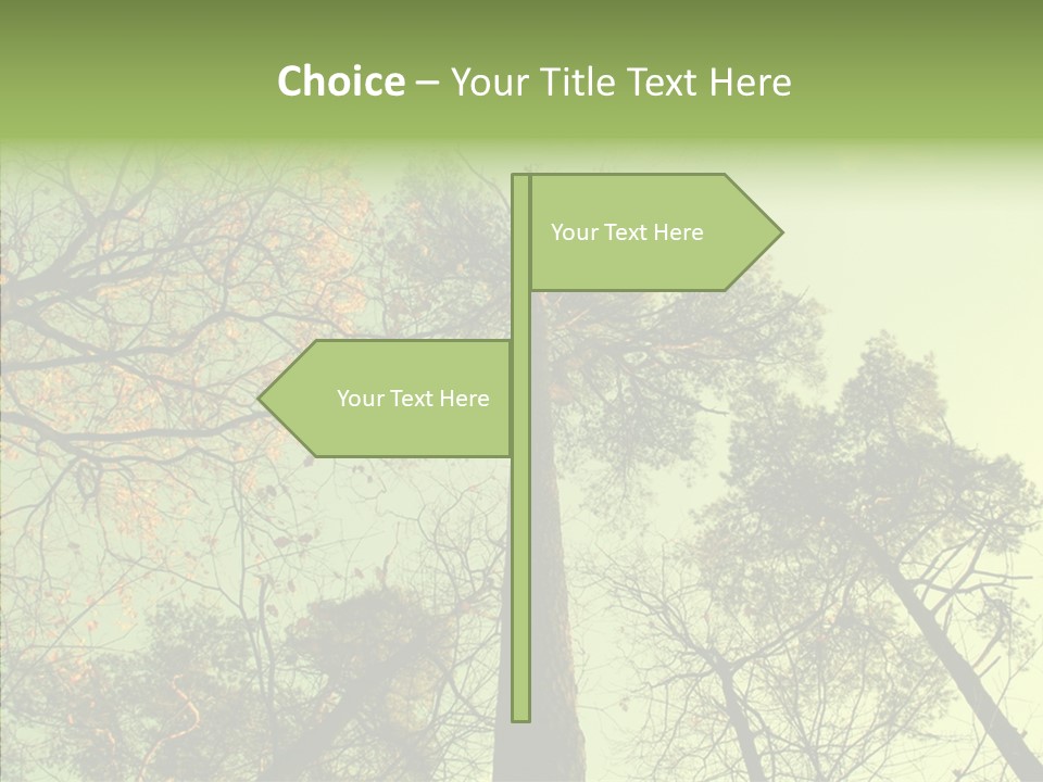 Forest Tree Landscape PowerPoint Template