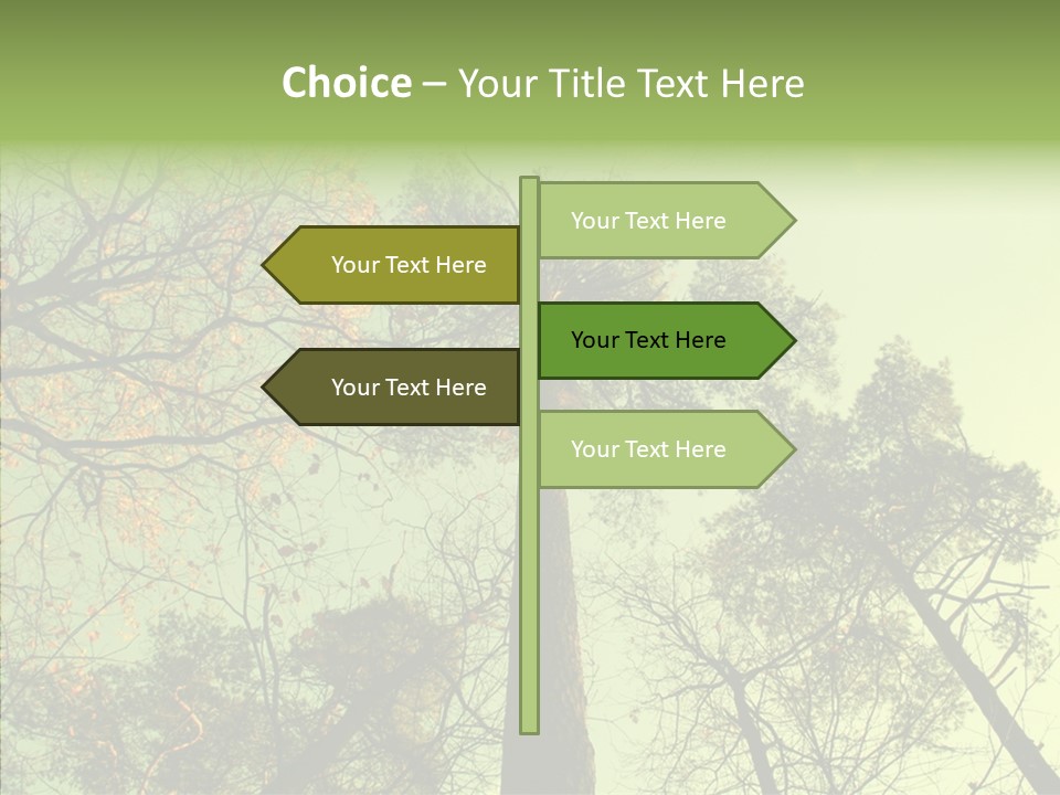 Forest Tree Landscape PowerPoint Template