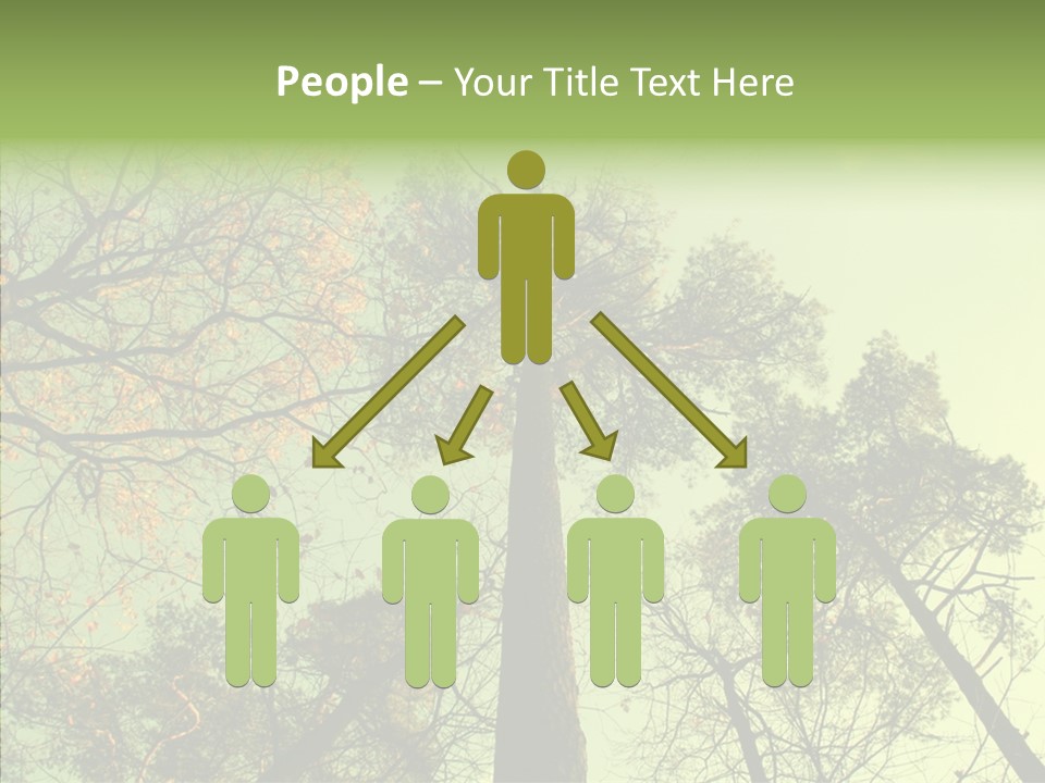 Forest Tree Landscape PowerPoint Template