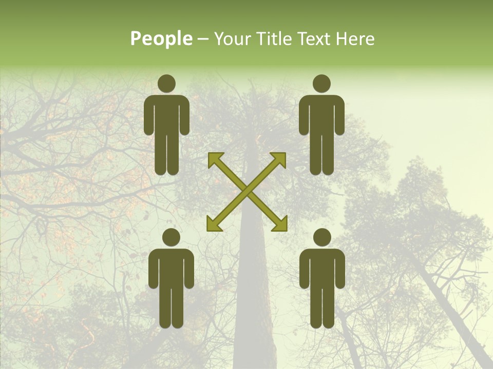 Forest Tree Landscape PowerPoint Template