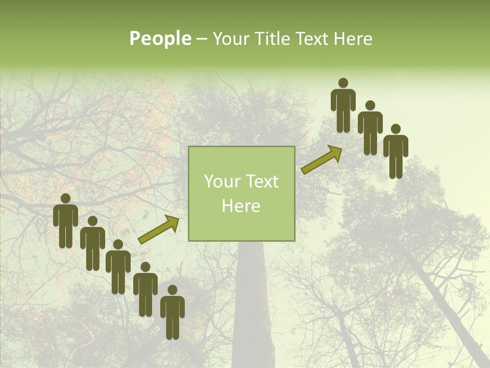 Forest Tree Landscape PowerPoint Template