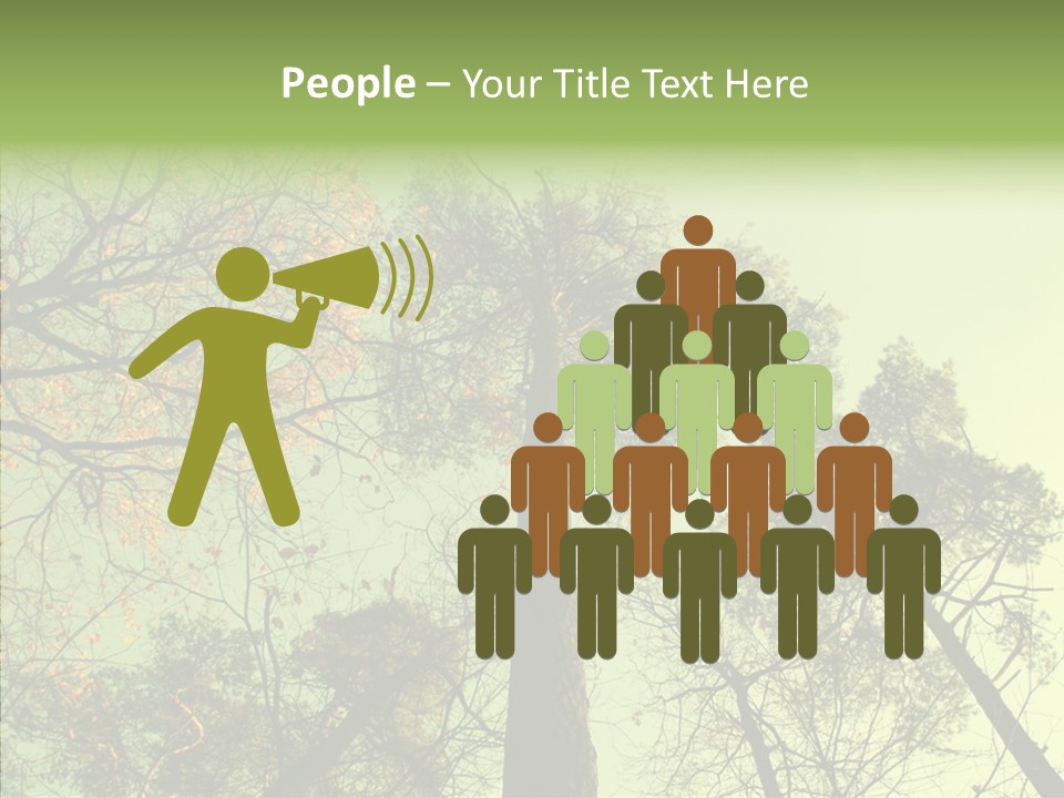 Forest Tree Landscape PowerPoint Template