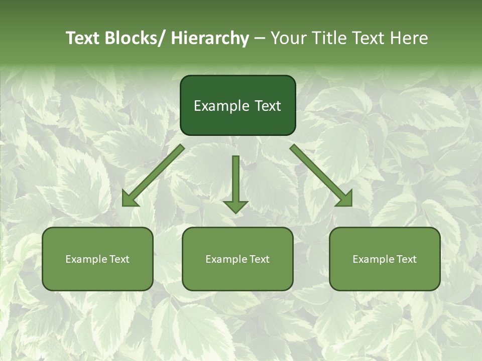 Many Leaf Green PowerPoint Template