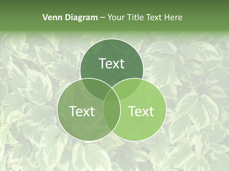 Many Leaf Green PowerPoint Template