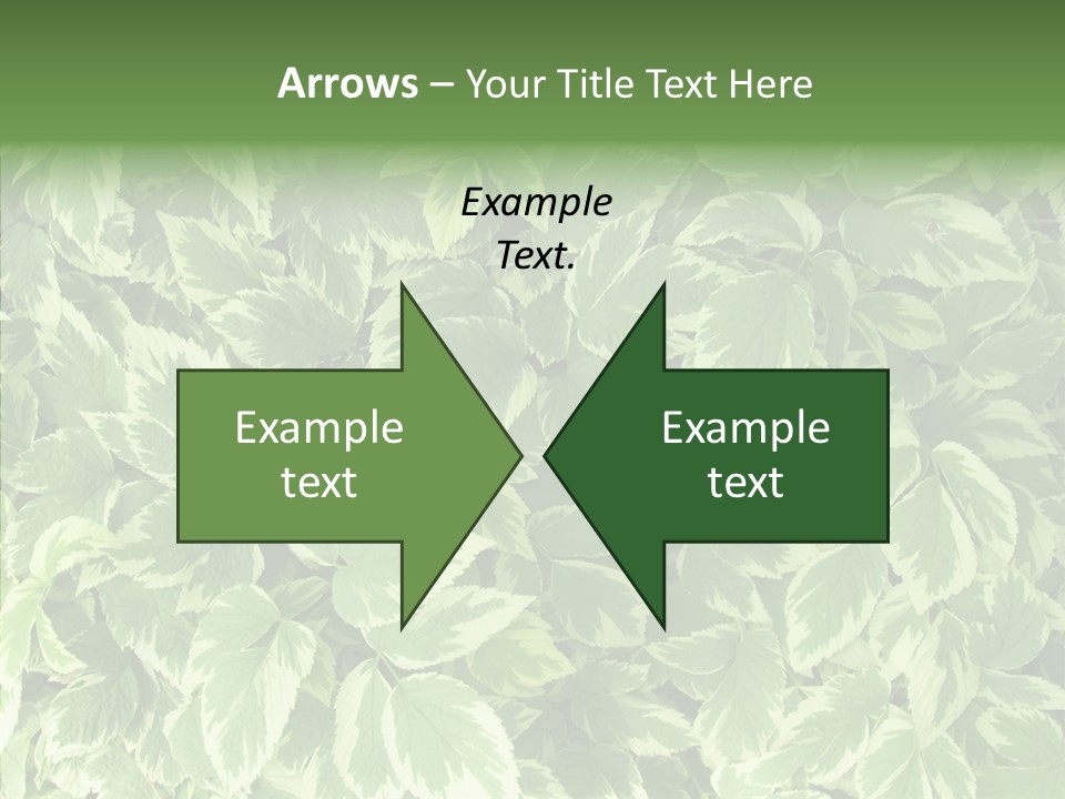 Many Leaf Green PowerPoint Template