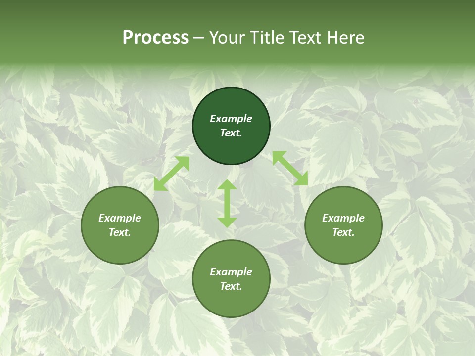 Many Leaf Green PowerPoint Template