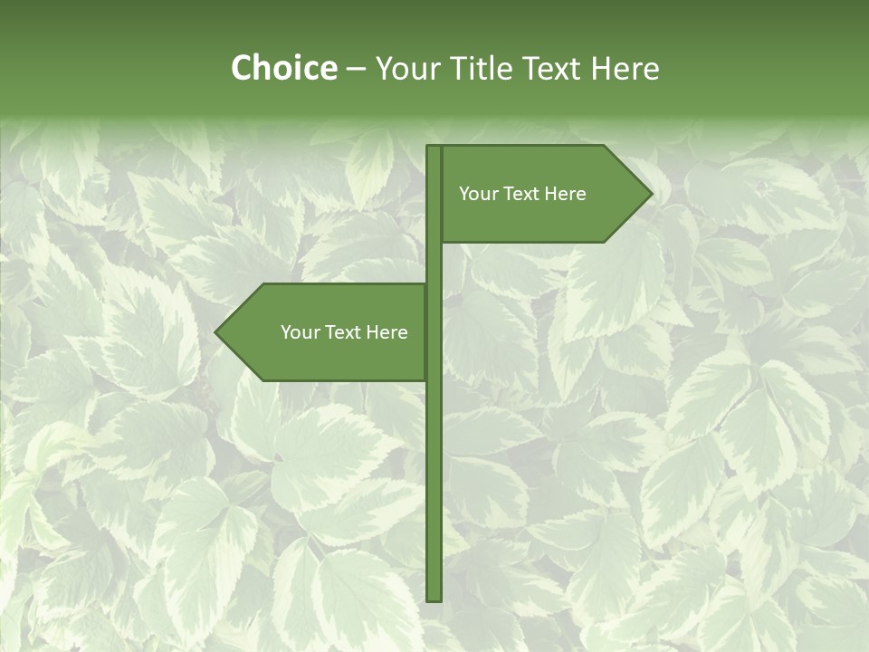 Many Leaf Green PowerPoint Template