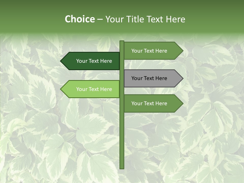 Many Leaf Green PowerPoint Template