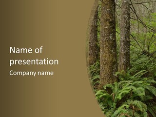 Trail Oregon Elk PowerPoint Template