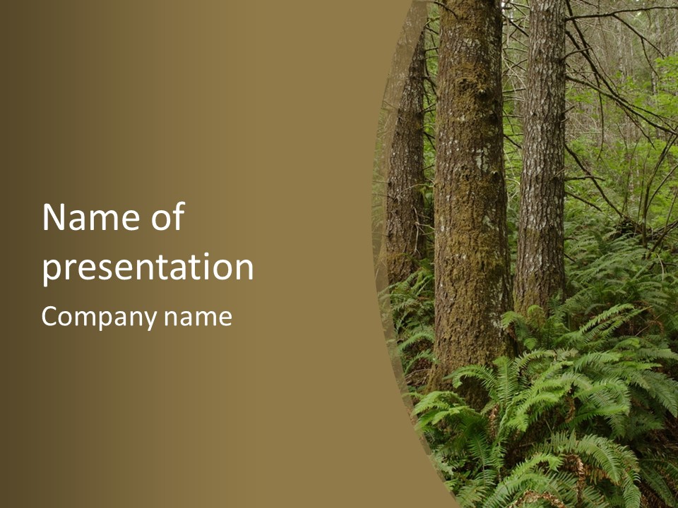 Trail Oregon Elk PowerPoint Template