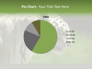 Big Nature Feline PowerPoint Template