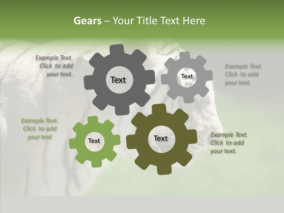 Big Nature Feline PowerPoint Template