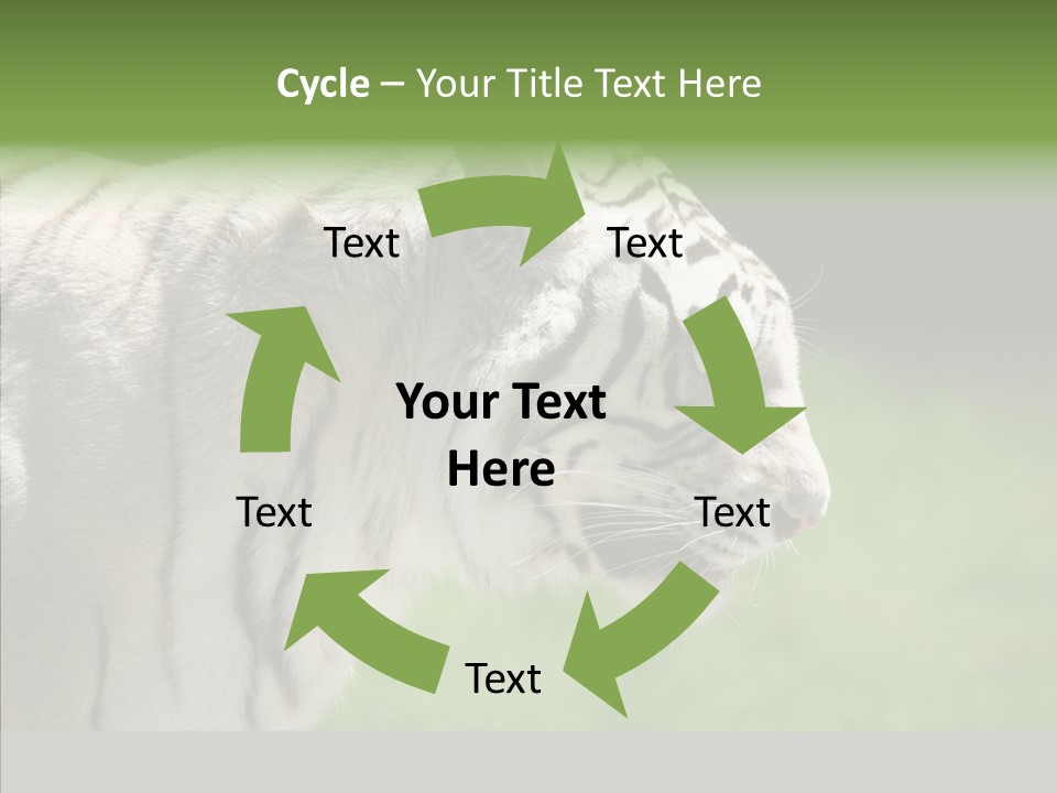 Big Nature Feline PowerPoint Template