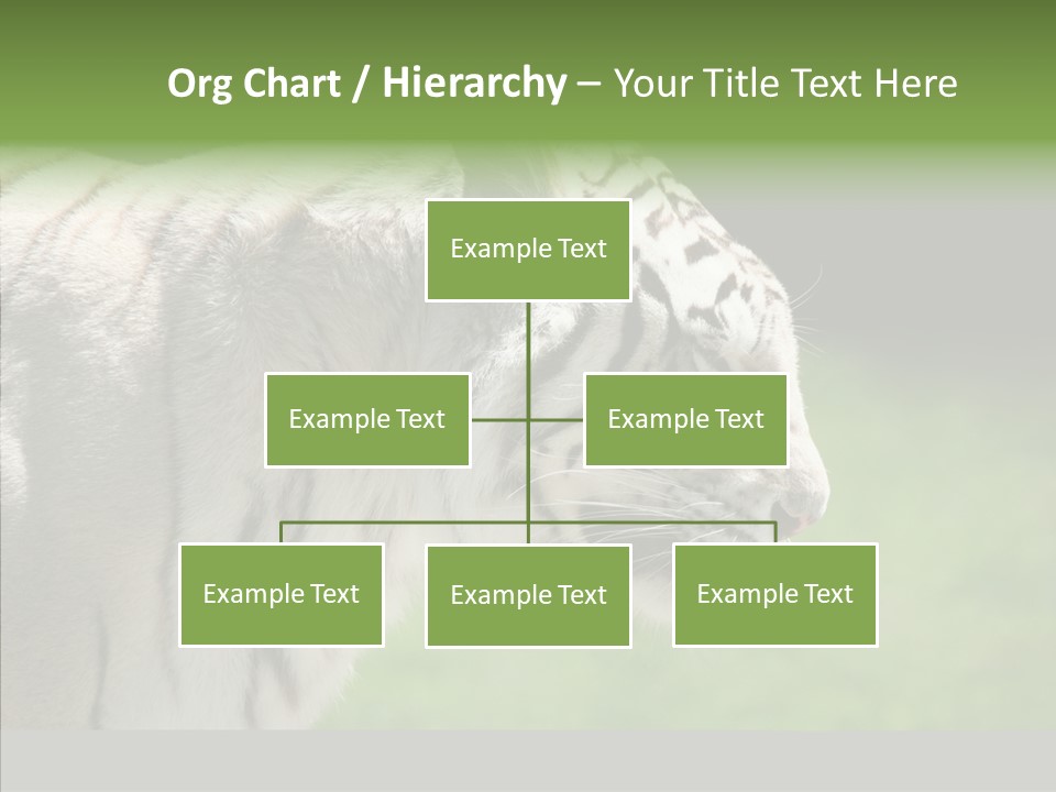 Big Nature Feline PowerPoint Template