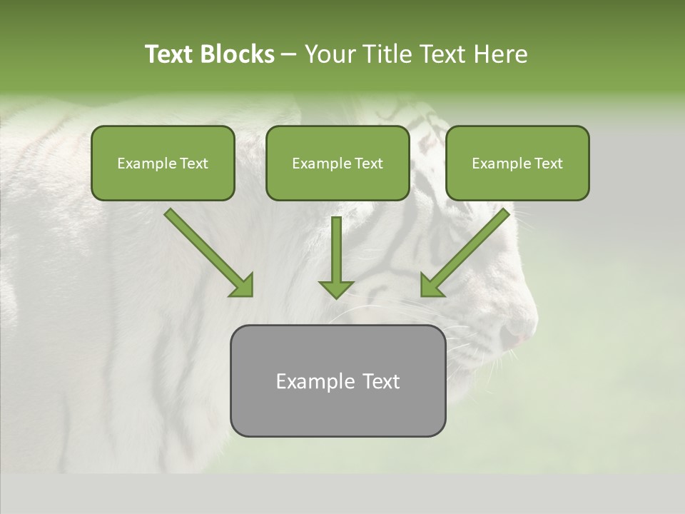 Big Nature Feline PowerPoint Template