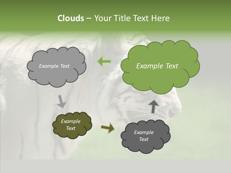 Big Nature Feline PowerPoint Template