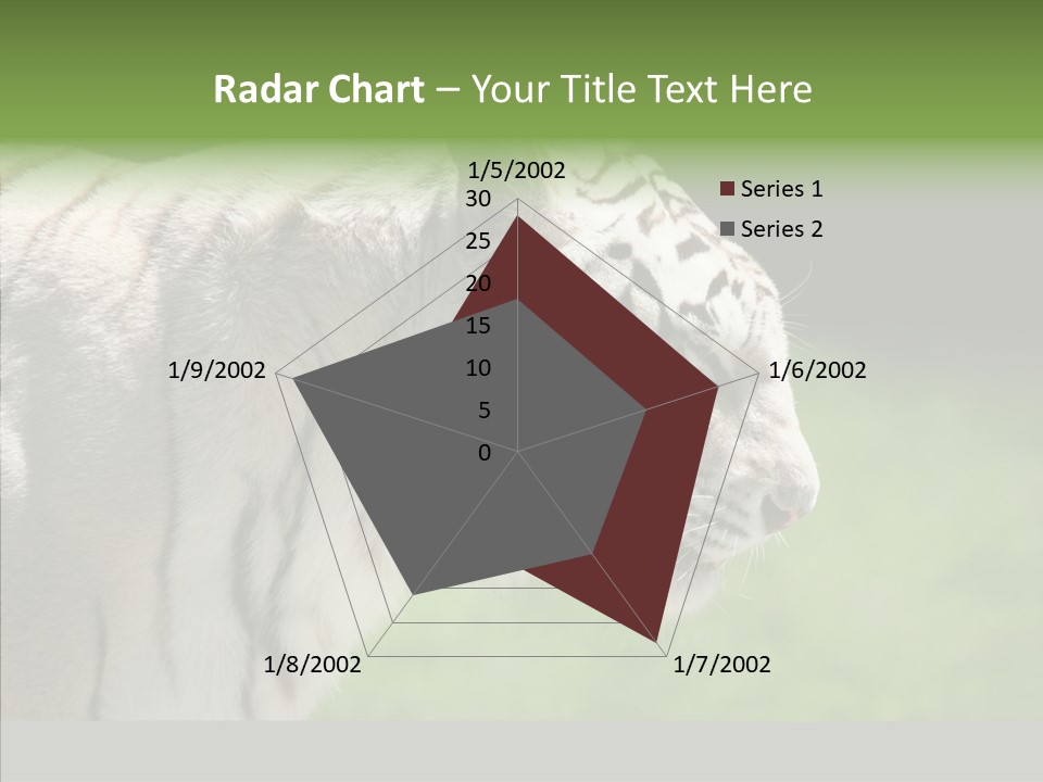 Big Nature Feline PowerPoint Template