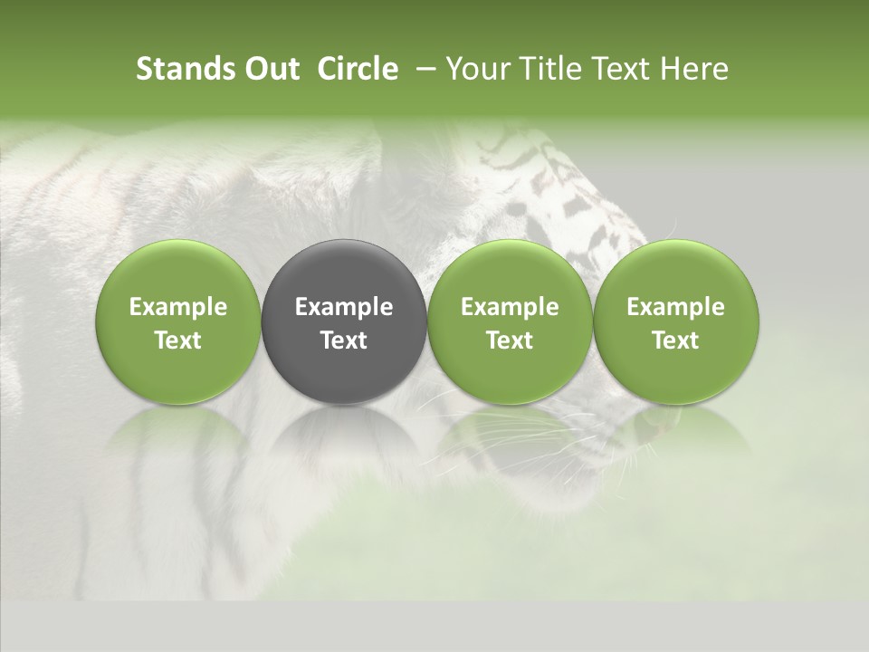 Big Nature Feline PowerPoint Template