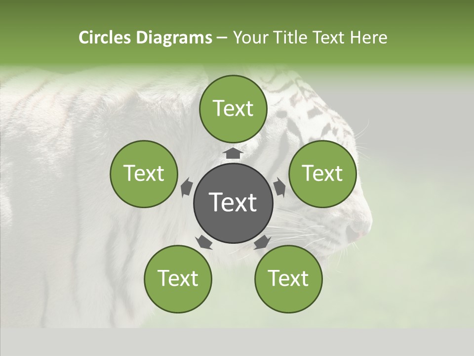 Big Nature Feline PowerPoint Template