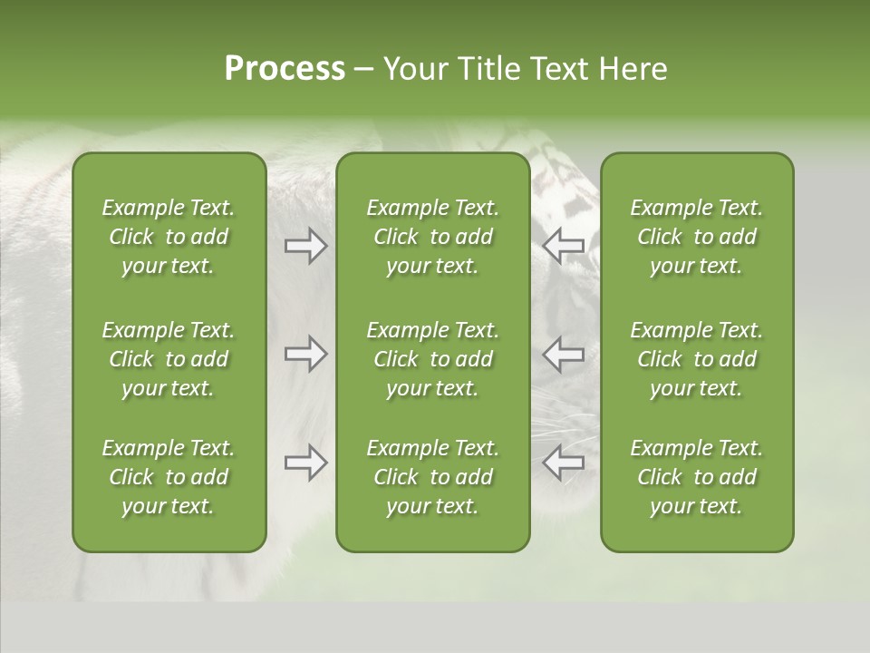Big Nature Feline PowerPoint Template