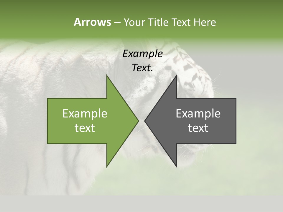 Big Nature Feline PowerPoint Template