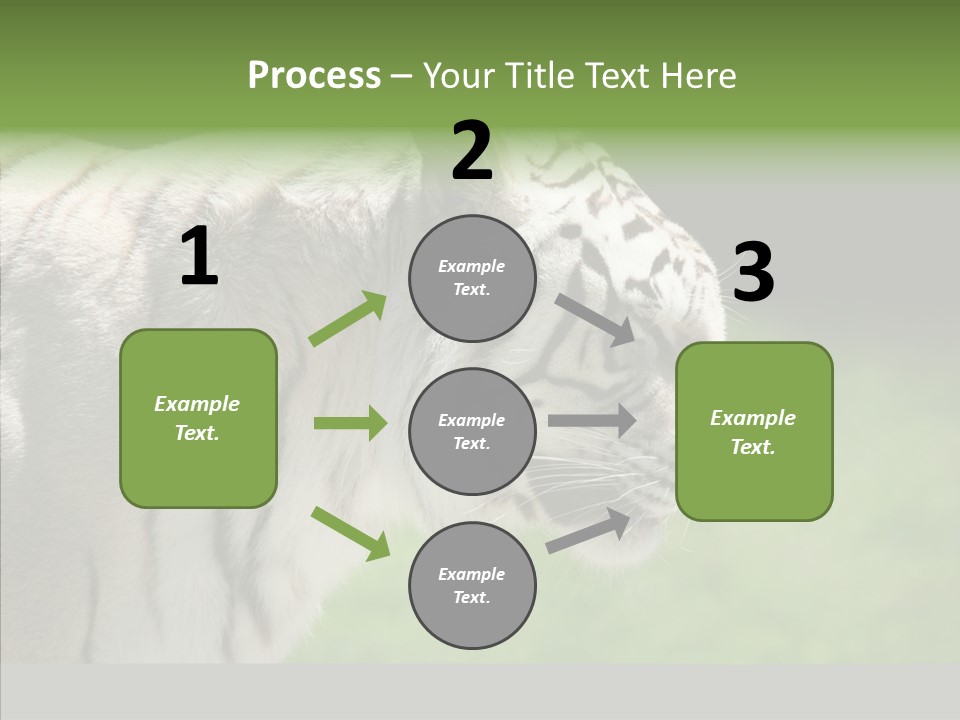 Big Nature Feline PowerPoint Template